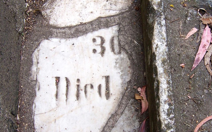 люди делятся неожиданными находками, удивительные находки