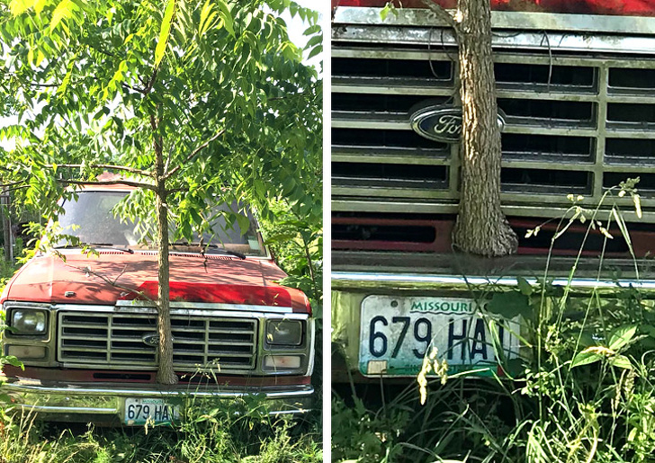 люди делятся неожиданными находками, удивительные находки