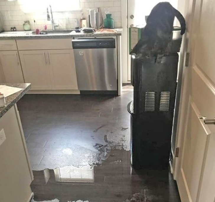 Когда что-то пошло не так, всё пошло не по плану