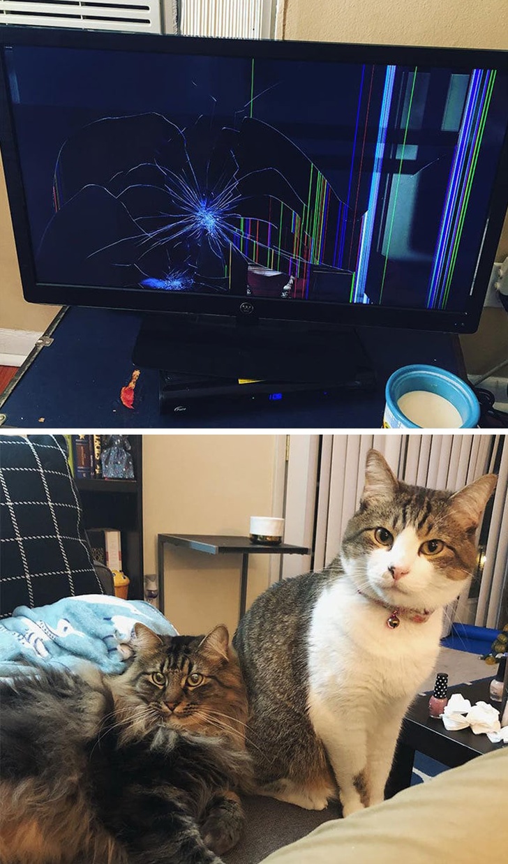 Когда что-то пошло не так, всё пошло не по плану