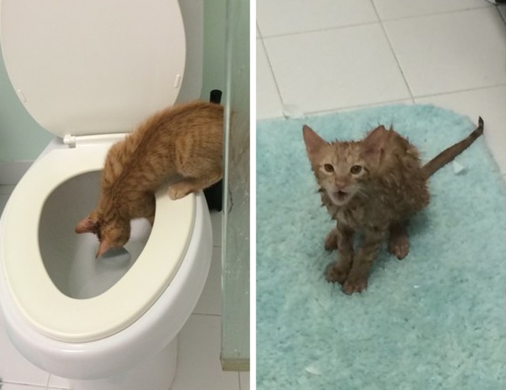 Когда что-то пошло не так, всё пошло не по плану