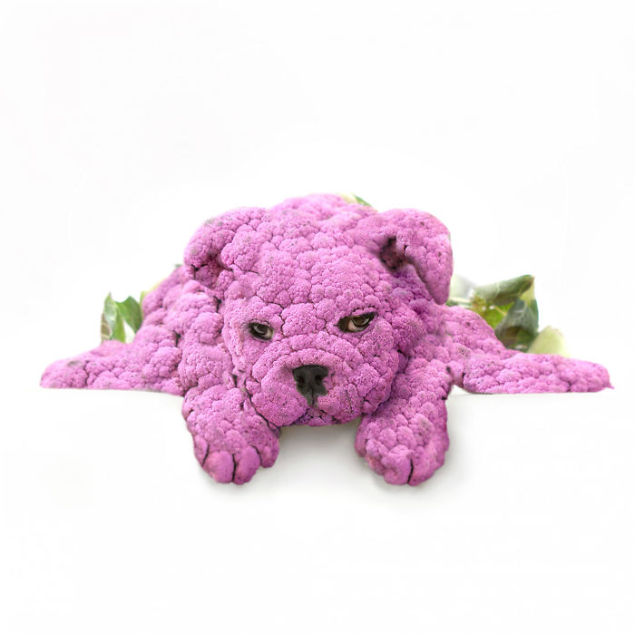 Мастера фотошопа превращают животных в растения 