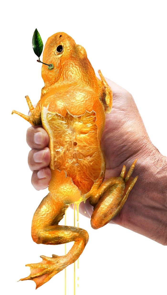 Мастера фотошопа превращают животных в растения 