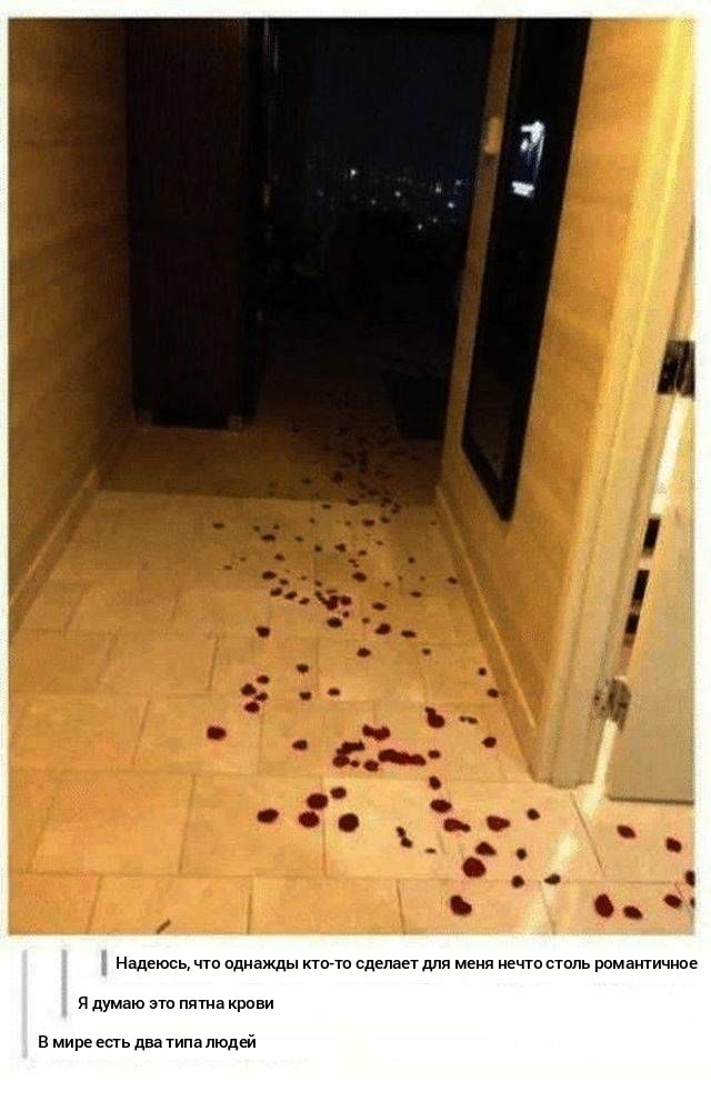 девушки делятся на 2 типа, два типа девушек, девушки 2 типа