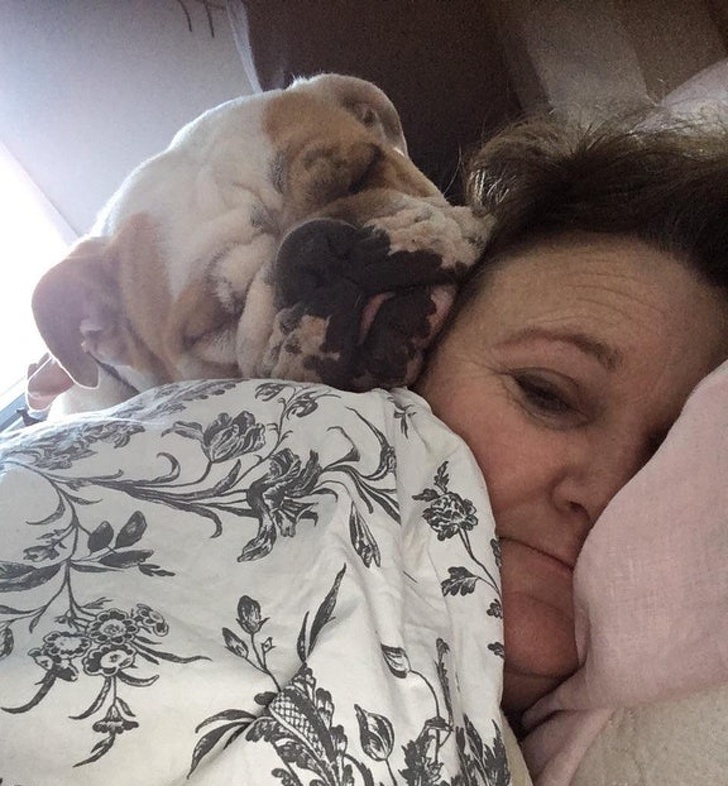 животные ведут себя плохо, животные шкодничают, животные засранцы 