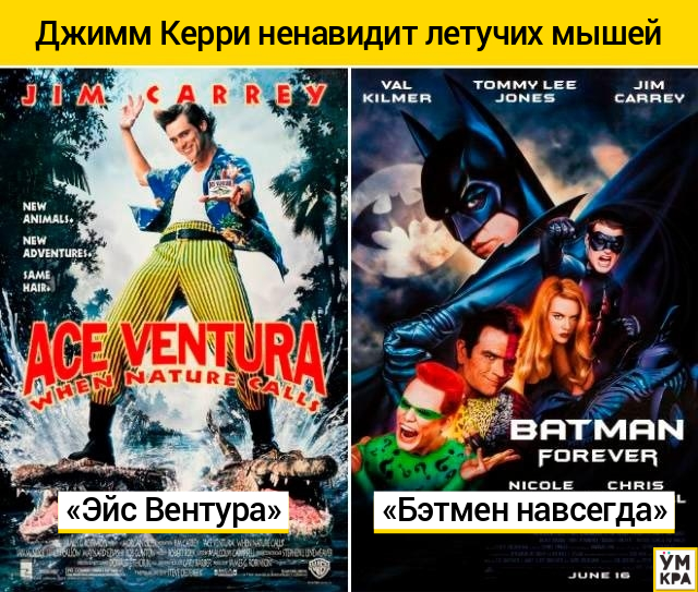 смешные описания фильмов, описания подходят к разным фильмам, смешные описания передающие сюжет разных фильмов