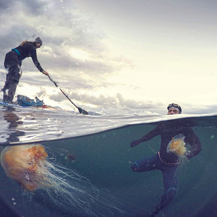 Росс Эджли 5 месяцев плавал вокруг Британии и то, что он перенёс, заставит вас вздрогнуть Росс Эджли 5 месяцев плавал вокруг Британии, Росс Эджли, Ross Edgley, Росс Эджли 2800 км, считается первым человеком который обогнул Великобританию вплавь