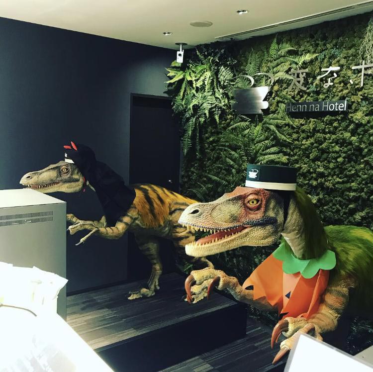 необычные отели, заботливые отели, отели с необычными услугами, необычные услуги в отелях