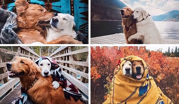 трогательные истории, истории которые растрогают до слёз 