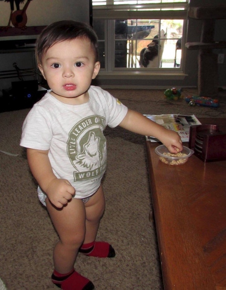 фотографии сделанные в нужный момент