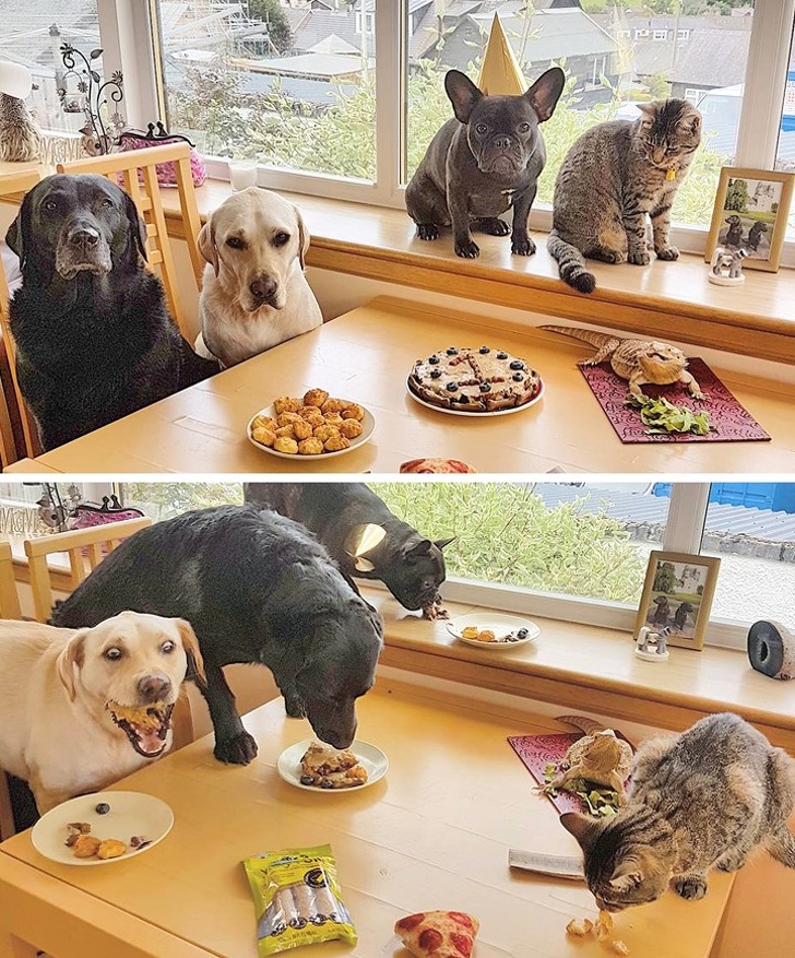 фотографии сделанные в нужный момент