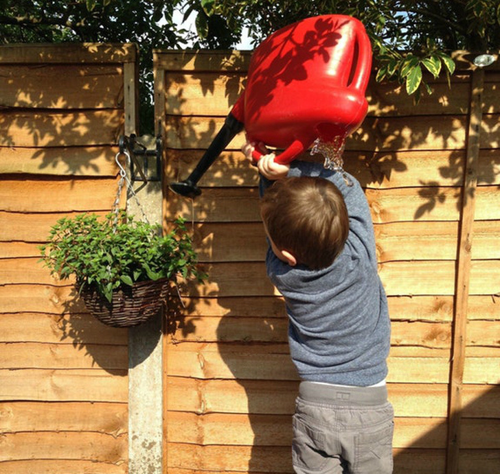 фотографии сделанные в нужный момент