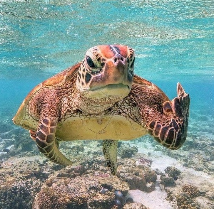 фотографии сделанные в нужный момент