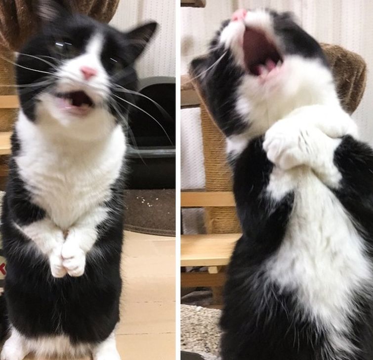 фотографии сделанные в нужный момент