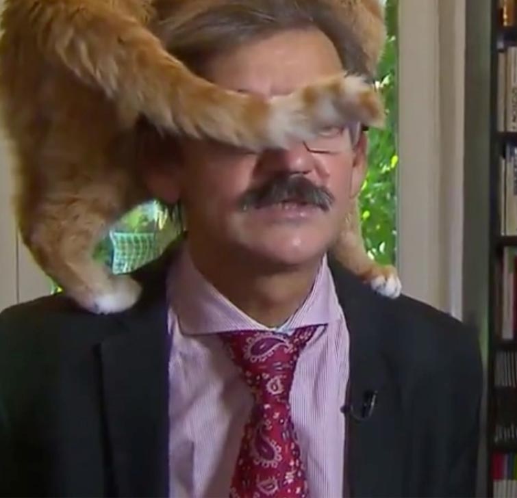 Академик дал совершенно обычное интервью с котом на голове Ежи Таргальски, учёный с котом на голове, интервью с котом на голове, кот залез на голову