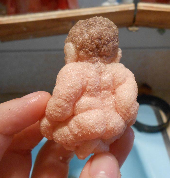 Кто-то нашёл старую игрушку игрушка растущая в воде, игрушка растёт в воде, игрушка в яйце растёт в воде, iguanamouth