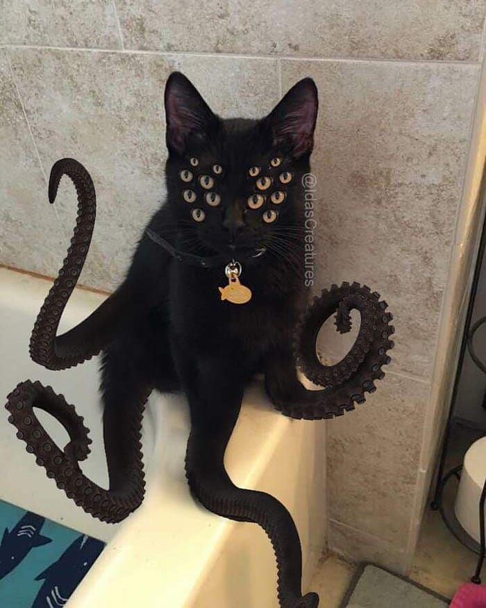 Девушка превращает питомцев в монстров при помощи фотошопа,  Ида 