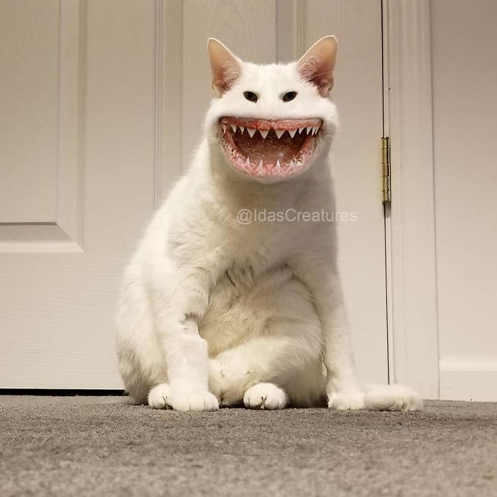 Девушка превращает питомцев в монстров при помощи фотошопа,  Ида 