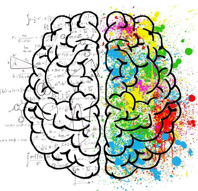Тест: правая или левая, какая часть вашего мозга управляет вашими действиями? тест правая или левая часть мозга, чем думаем левая правая часть мозга, тест о мозге