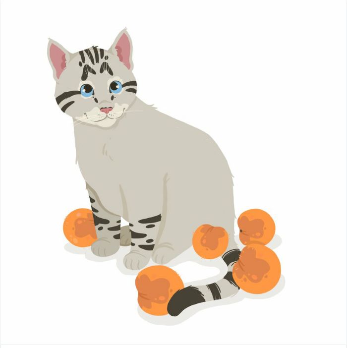 кот любит персики, кот Оззи любит персики 