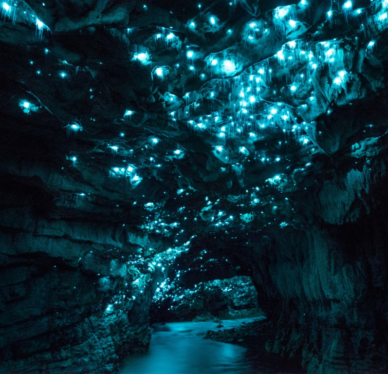 тест предсказать будущее, предсказать будущее, тест пещера, прогулка по пещере