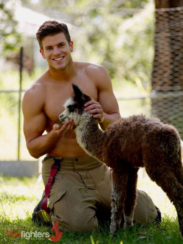 Календарь с австралийскими пожарными 2019 здесь и эта самая горячая благотворительность Календарь с австралийскими пожарными 2019, австралийские пожарные