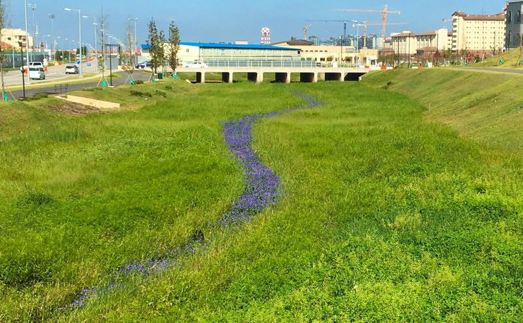 20 необычных вещей, которые выглядят так, словно они из параллельной реальности вещи из параллельной реальности, необычные вещи, странные вещи фото, вещи из параллельной реальности фото