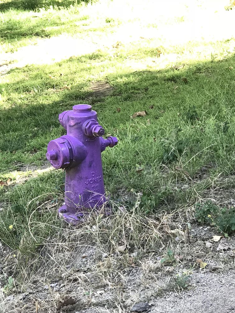 20 необычных вещей, которые выглядят так, словно они из параллельной реальности вещи из параллельной реальности, необычные вещи, странные вещи фото, вещи из параллельной реальности фото