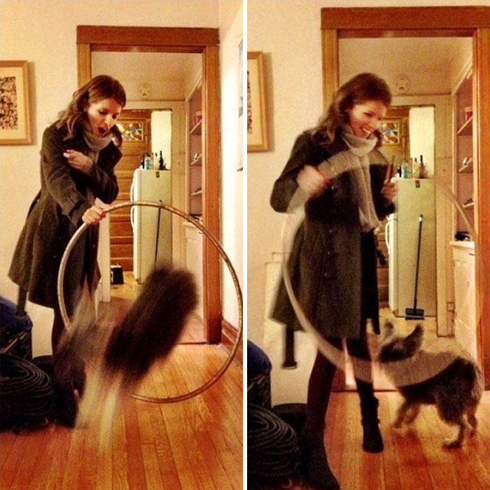 25 раз Анна Кендрик доказала, что она настоящая диснеевская принцесса Анна Кендрик доказала что она диснеевская принцесса, Кендрик, позирующая с разными животными