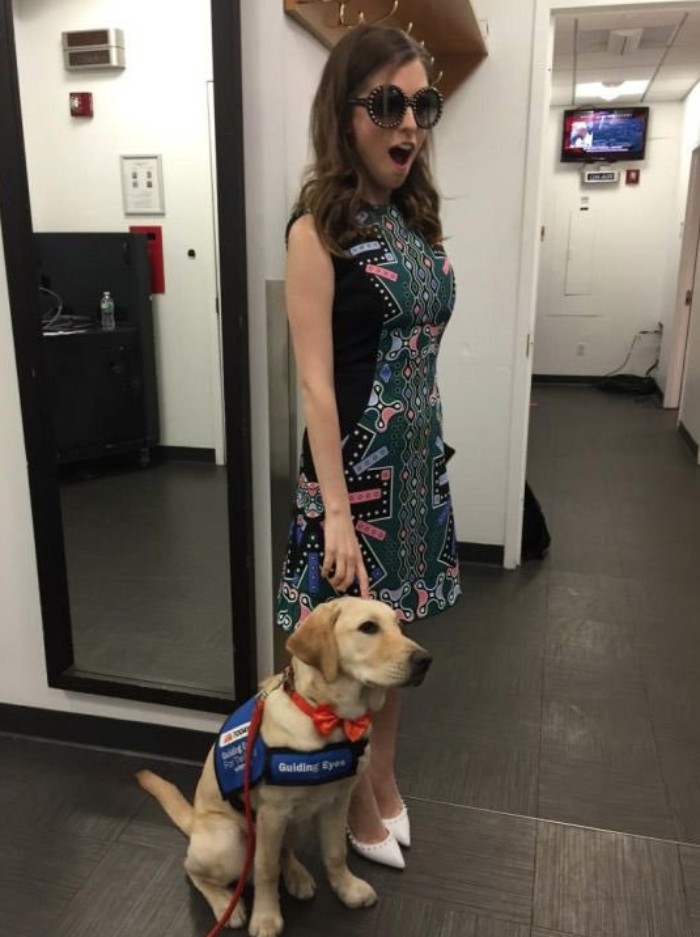 25 раз Анна Кендрик доказала, что она настоящая диснеевская принцесса Анна Кендрик доказала что она диснеевская принцесса, Кендрик, позирующая с разными животными