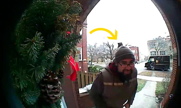 белка запрыгнула на голову, белка запрыгнула на доставщика, белка прыгнула на доставщика, белка прыгнула на почтальона