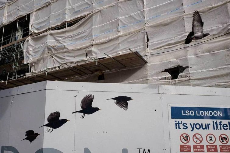 фото в нужный момент, совпадения фото, невероятные совпадения