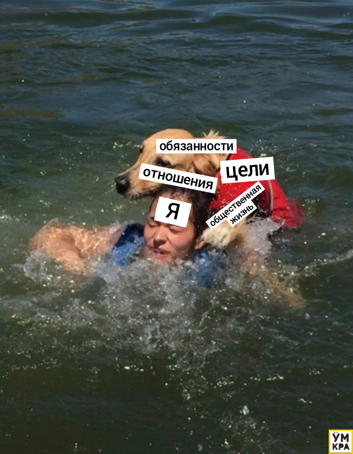 Собака-утопака, собака на озере, собака плавает на озере, собака чуть не утопила