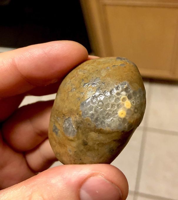 25 неожиданных вещей, которые случайно нашли люди (особенно удивил снимок кукурузы) неожиданные вещи, Люди обнаружили неожиданные вещи