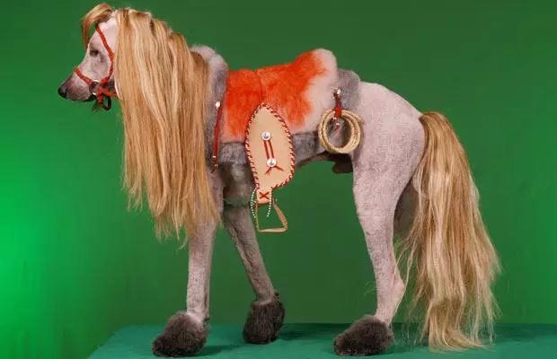 30 смешных кошек и собак до и после того, как они побывали у парикмахера кошки до и после того как побывали у парикмахера, собаки до и после того как побывали у парикмахера