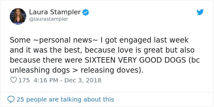 предложение руки 16 собак, предложение руки с собаками, помолвка 16 собак, помолвка с собаками