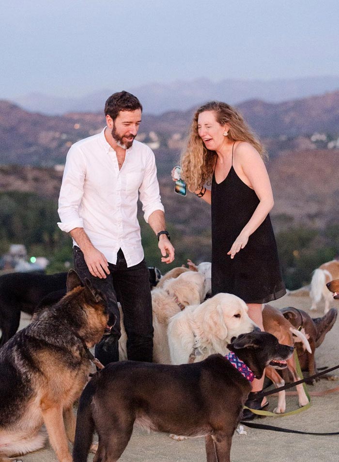 предложение руки 16 собак, предложение руки с собаками, помолвка 16 собак, помолвка с собаками