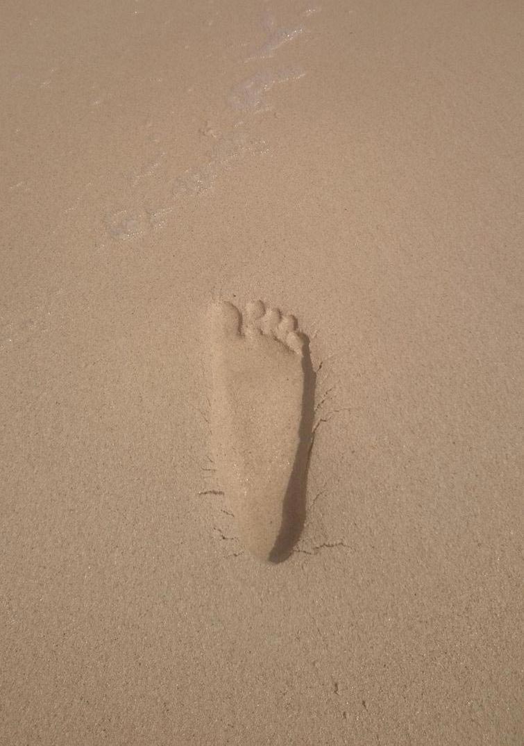 оптические иллюзии, смешные оптические иллюзии, фото иллюзии, фото в нужный момент