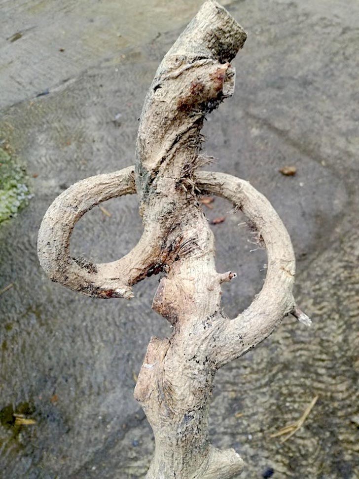 странные находки, люди нашли странные вещи 