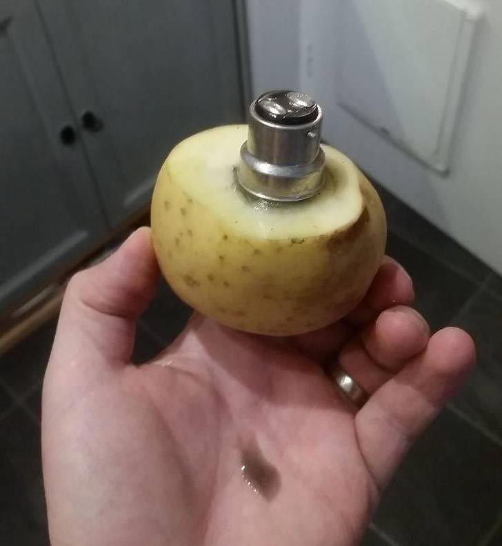 находчивые люди, люди нашли способ, люди достигли своих целей