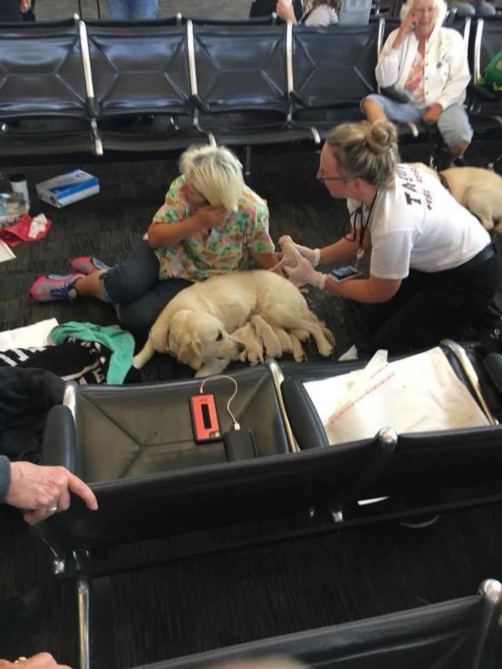 увлекательные фотографии, интересные фотографии, интересные факты