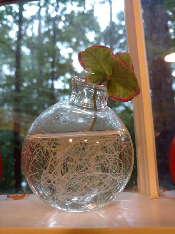 увлекательные фотографии, интересные фотографии, интересные факты