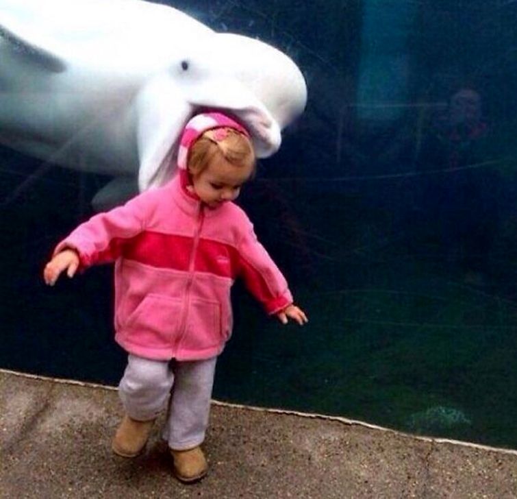 фотобомбы, смешной задний план 