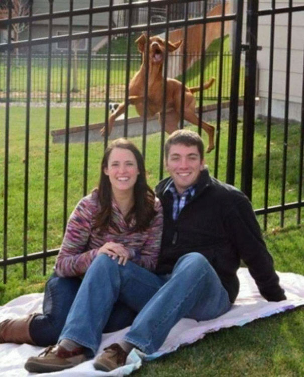 фотобомбы, смешной задний план 