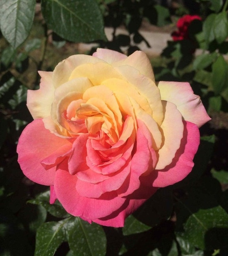 без фотошопа, крутые фотографии без фотошопа 