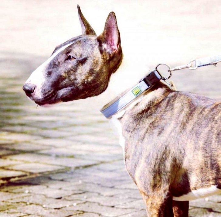 без фотошопа, крутые фотографии без фотошопа 