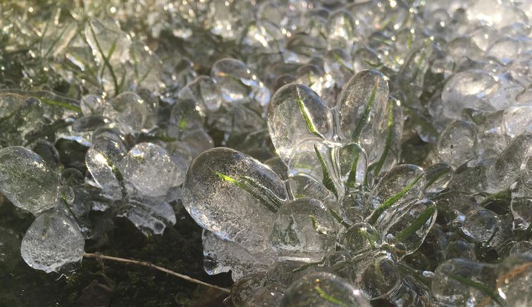 фотографии удивительных вещей, фото редких явлений