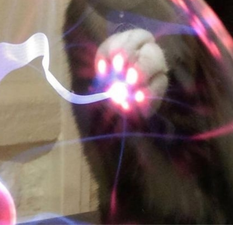 фотографии удивительных вещей, фото редких явлений