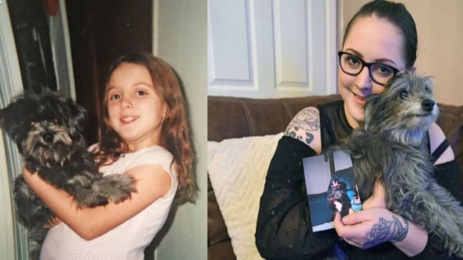 Девушка нашла свою старую собаку, которою в детстве её родители отдали в приют собака вернулась, приняла ту же собаку, нашла свою собаку, девушка нашла свою собаку