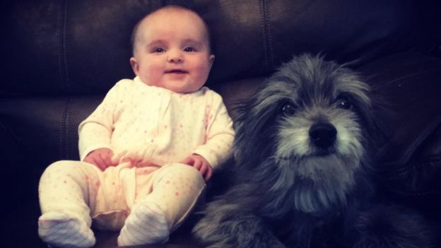 Девушка нашла свою старую собаку, которою в детстве её родители отдали в приют собака вернулась, приняла ту же собаку, нашла свою собаку, девушка нашла свою собаку